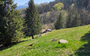 Bauland - image - 3