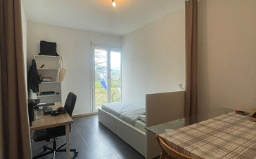 Wohnung 2 Zimmer - image - 2