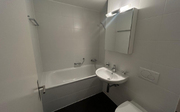 Duplex 5.5 pièces - image - 8