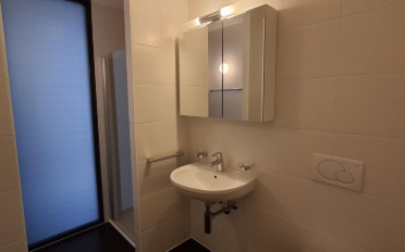 Duplex 5.5 pièces - image - 6