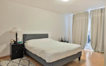 Villa 7.5 Zimmer - image - 13