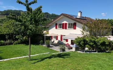 Single house 8 rooms - image - 1