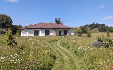 Einfamilienhaus 5.5 Zimmer - image - 1