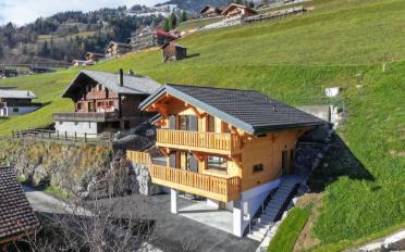 Chalet 4.5 pièces - image - 2
