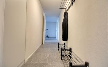 Chambre 1 pièce - image - 14