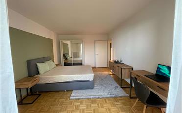 Chambre 1 pièce - image - 1
