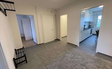 Chambre 1 pièce - image - 14