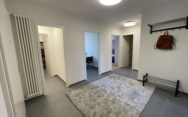 Chambre 1 pièce - image - 15