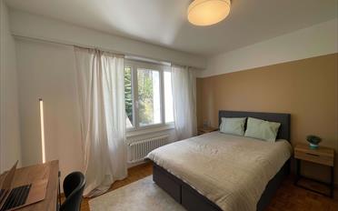 Chambre 1 pièce - image - 6