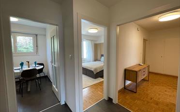 Chambre 1 pièce - image - 23