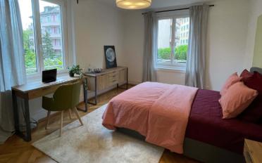 Chambre 1 pièce - image - 1