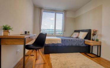 Single room 1 room - image - 3