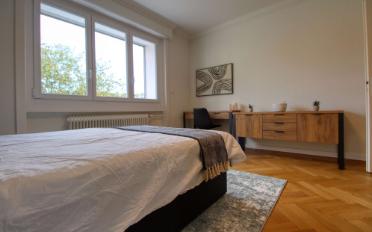 Single room 1 room - image - 3