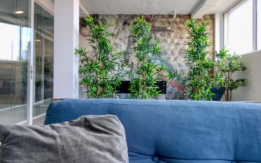 Einzelzimmer ein Zimmer - image - 20