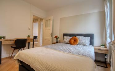 Chambre 1 pièce - image - 2