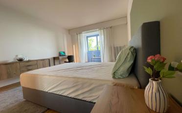 Single room 1 room - image - 2