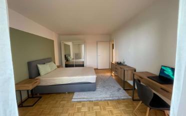 Single room 1 room - image - 11