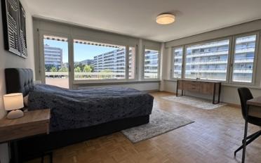 Single room 1 room - image - 2