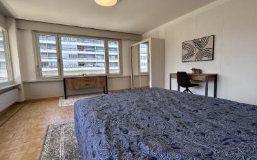 Single room 1 room - image - 5