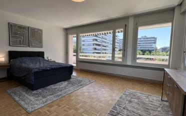 Single room 1 room - image - 6