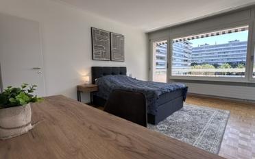 Single room 1 room - image - 11