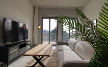 Studio 1.5 pièces - image - 23