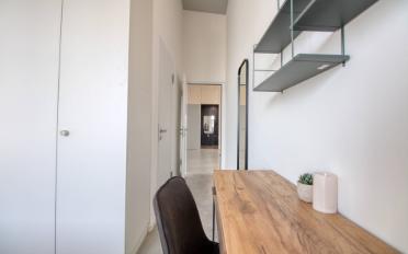 Studio - image - 7