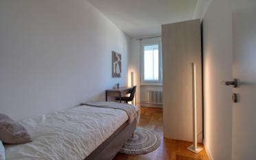 Single room 1 room - image - 2