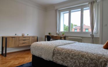 Chambre 1 pièce - image - 4