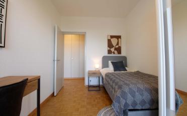 Single room 1 room - image - 13
