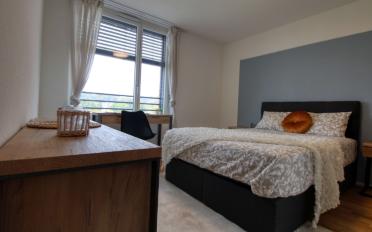 Studio 1.5 Zimmer - image - 1