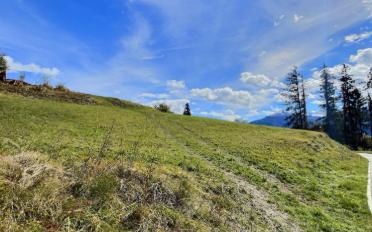 Building land - image - 7