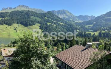 Chalet 5 Zimmer - image - 3