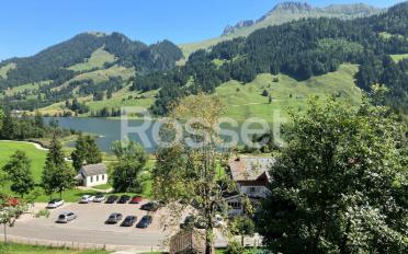 Chalet 5 Zimmer - image - 1
