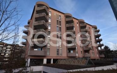 Apartment 1.5 rooms - image - 1