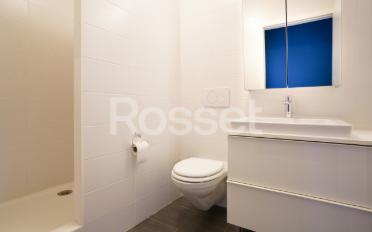 Attic flat 6 rooms - image - 12