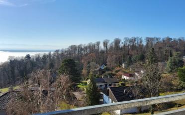 Appartement 3 pièces - image - 6