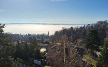 Appartement 3 pièces - image - 1