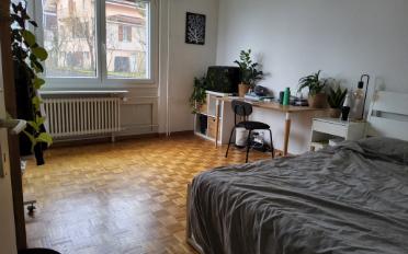 Wohnung 4 Zimmer - image - 2