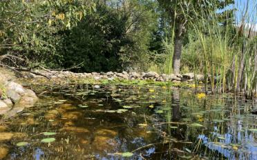 Einfamilienhaus 7 Zimmer - image - 14