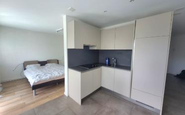 Wohnung 1.5 Zimmer - image - 1