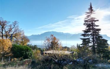 Villa 5.5 pièces - image - 6