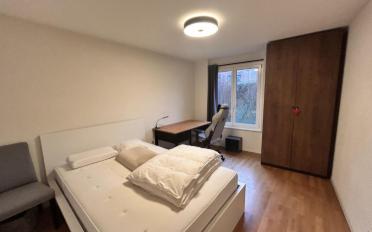 Wohnung 3.5 Zimmer - image - 8