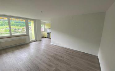 Wohnung 2.5 Zimmer - image - 1