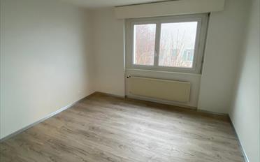 Wohnung 2.5 Zimmer - image - 5