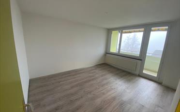 Wohnung 2.5 Zimmer - image - 2