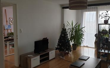 Wohnung 3 Zimmer - image - 1