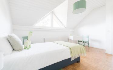 Wohnung 3.5 Zimmer - image - 7