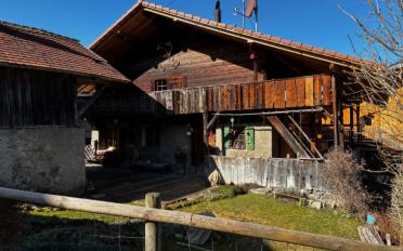 Chalet 5.5 Zimmer - image - 2