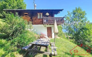 Chalet 4.5 Zimmer - image - 1